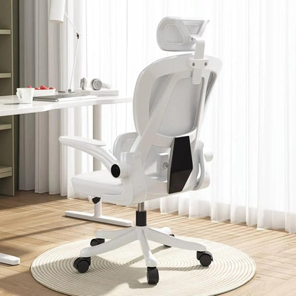 Premium ergonomic office chair featuring lumbar support cushion